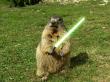 [obrazky.4ever.sk]-svist,-svetelny-mec,-star-wars,-parodia-162142